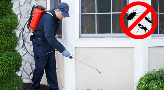Sarıveliler Dezenfeksiyon böcek ilaçlama ve haşere kontrolü — ilaclama-tr.com